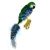 Picture of Parrot w. Clip, (gold, green) Glass Bird Christmas Ornament