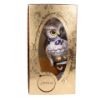 Picture of Owl  on a Lantern- Hand Painted Glass Christmas Tree Ornament